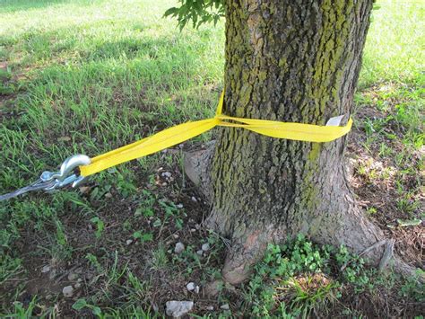 strap saver|tree saver strap tractor supply.